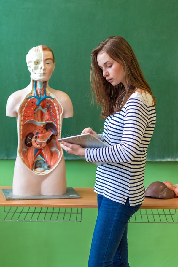 Ung kvinnlig student i biologigrupp som rymmer den digitala minnestavlan och lär människokroppanatomi arkivbild Ung kvinnlig student i biologigrupp som rymmer den digitala minnestavlan och lär människokroppanatomi arkivbild