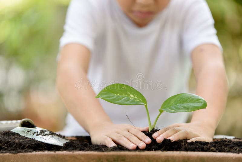 Ung thailändsk pojke som planterar den lilla plantan royaltyfri fotografi Ung thailändsk pojke som planterar den lilla plantan royaltyfri fotografi