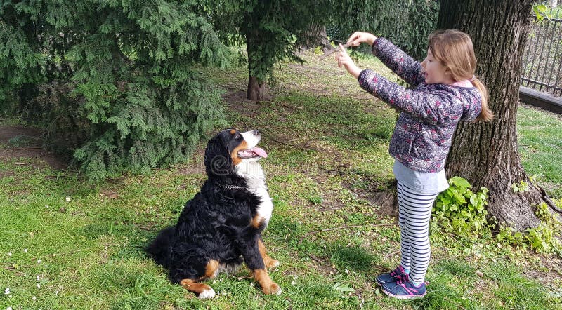 Unga barnet spelar med hunden p? parkerar fotografering för bildbyråer Unga barnet spelar med hunden p? parkerar fotografering för bildbyråer