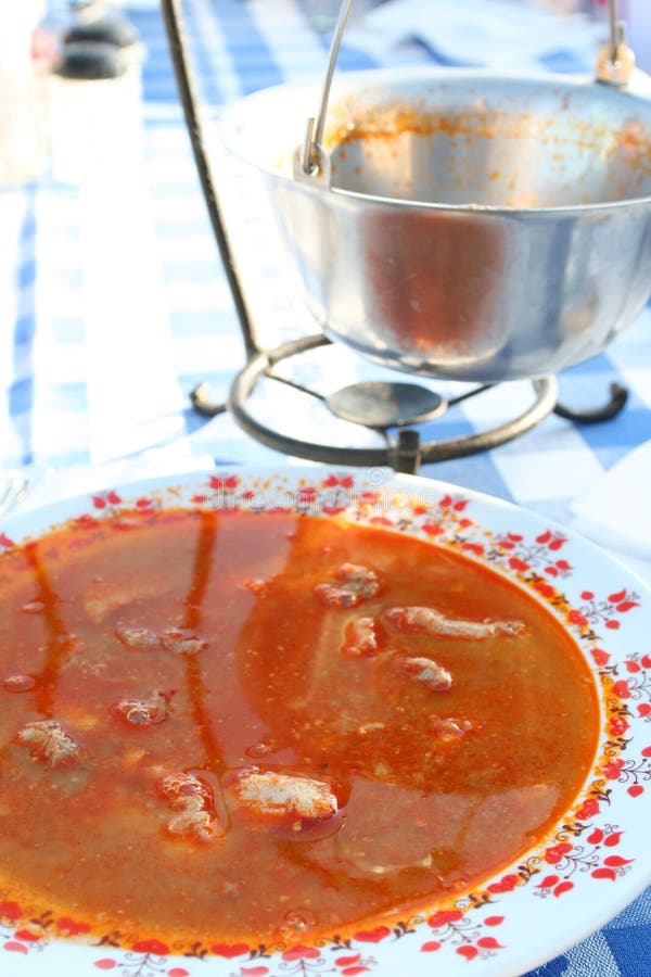 Ungarische Fischsuppe In Der Platte Stockfoto - Bild von nahrung ...