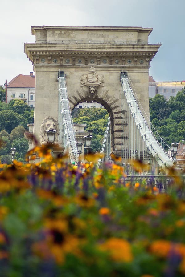 Ungarische Hängebrücke tagsüber nahe bei Blumen am Sommer stockfotografie Ungarische Hängebrücke tagsüber nahe bei Blumen am Sommer stockfotografie