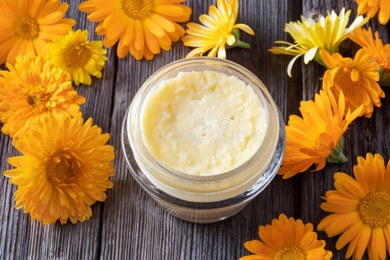 Unguento casalingo del burro di karité e della calendula immagini stock libere da diritti Unguento casalingo del burro di karité e della calendula immagini stock libere da diritti