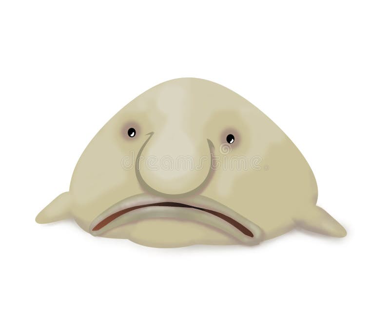 Unhappy blob-fish stock photo. Illustration of irritated - 165655856