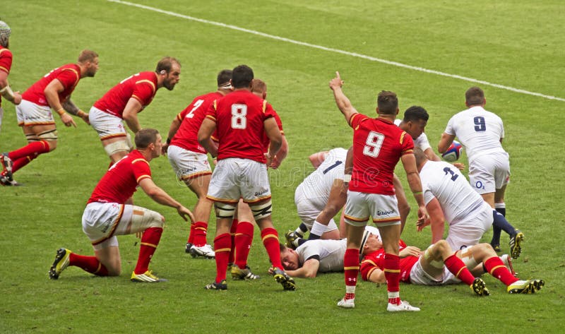 O Melhor Jogador Do Rugby De St Petersburg Sergey Gresev Fotografia  Editorial - Imagem de homem, petersburgo: 93754567