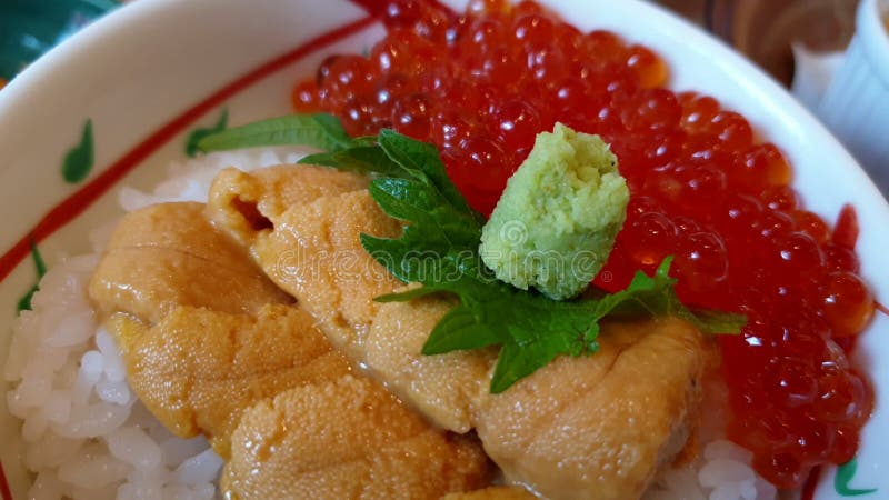 Uni and Ikura Don Sea Urchin and Salmon Roe Over Japanese Rice Hokkaido