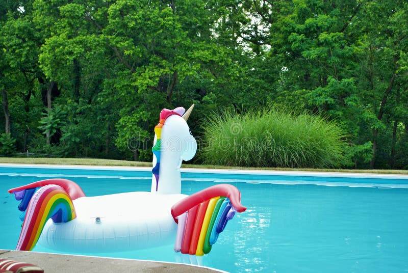 Unicorn inflatable floating in a backyard swimming pool royalty free stock photos