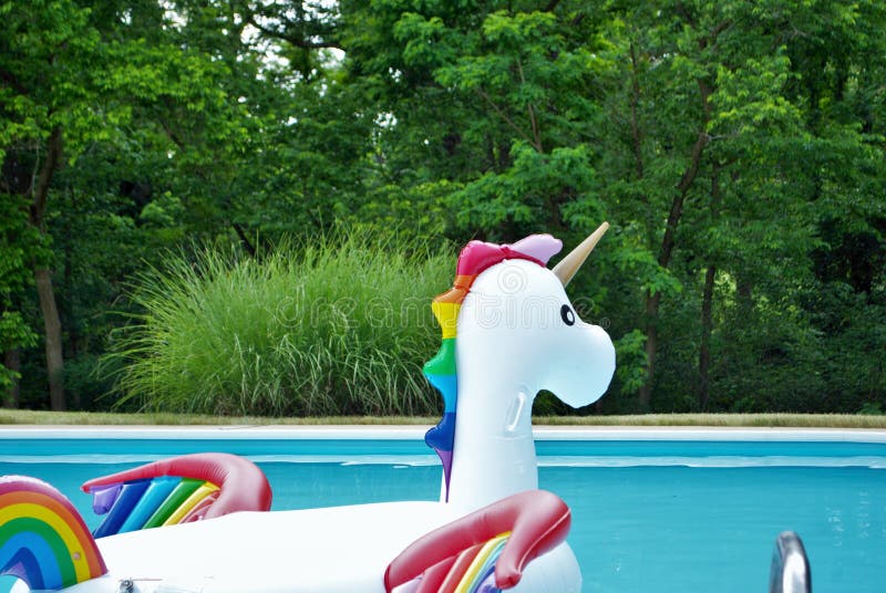 Unicorn inflatable floating in a backyard swimming pool royalty free stock image