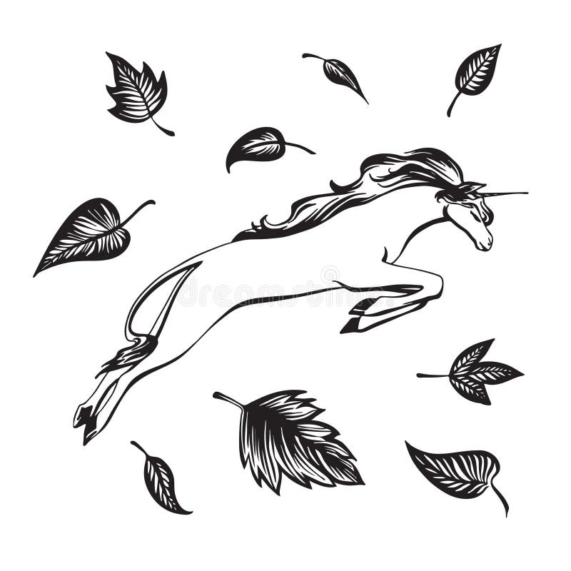 Unicornio Negro Ilustraciones Stock, Vectores, Y Clipart – (3,506