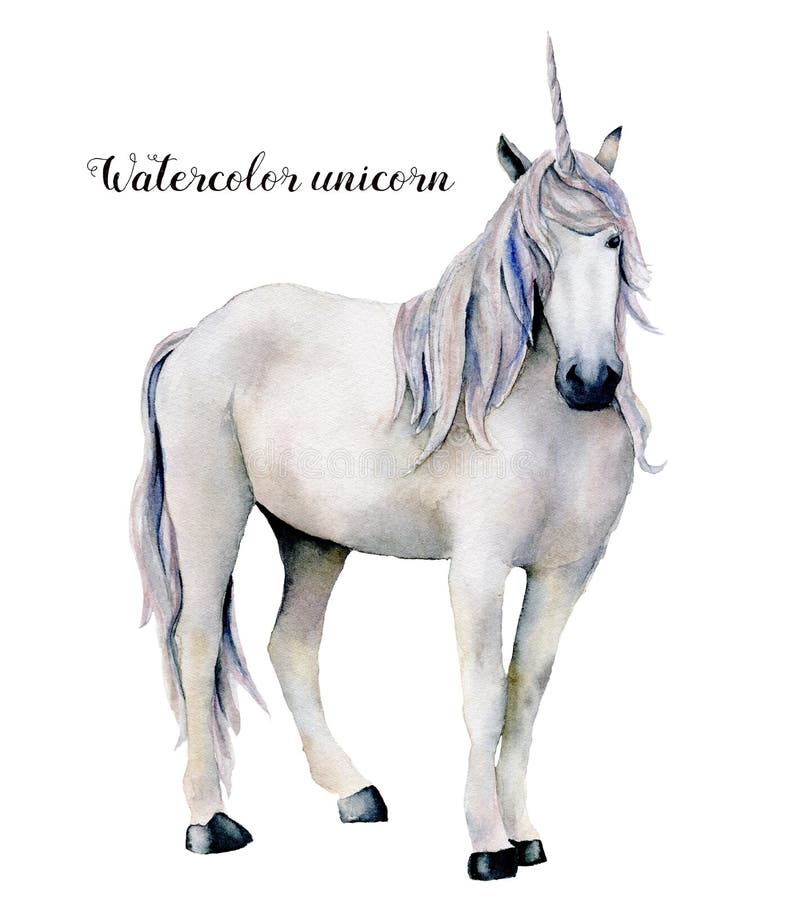 Unicórnio branco elegante da aquarela Cavalo mágico pintado à mão isolado no fundo branco Caráter do conto de fadas ilustração stock Unicórnio branco elegante da aquarela Cavalo mágico pintado à mão isolado no fundo branco Caráter do conto de fadas ilustração stock
