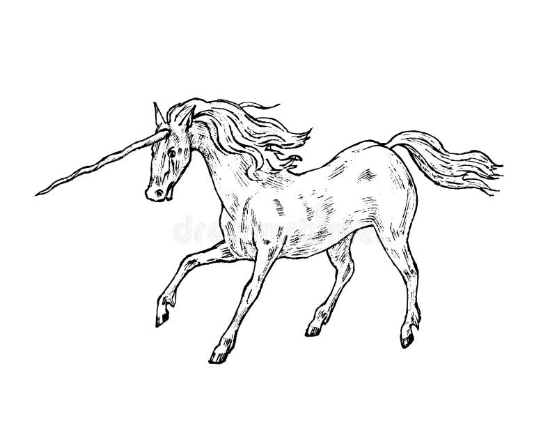 Unicórnio mitológico Animal mágico antigo mítico Cavalo antigo, criaturas fantásticas no estilo velho do vintage ilustração stock Unicórnio mitológico Animal mágico antigo mítico Cavalo antigo, criaturas fantásticas no estilo velho do vintage ilustração stock