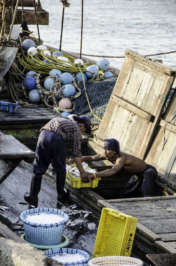 Unidentified Worker Carry Fish Basket on Fishing Boat Editorial