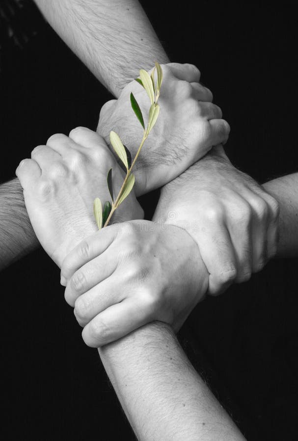 Unido en paz Unido en paz