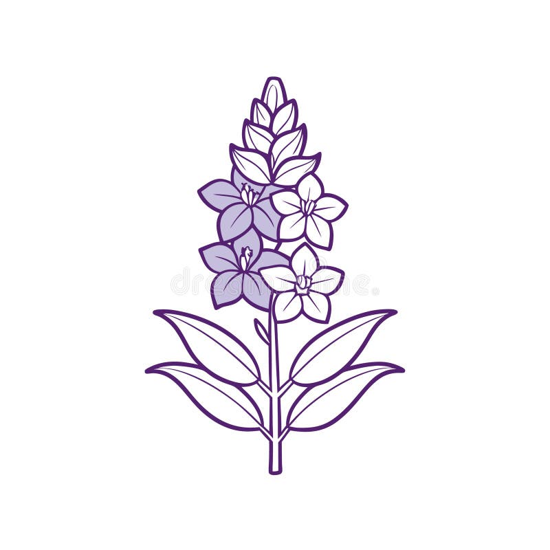 Unik överkant i larkspur-illustration i fet stil vektor illustrationer