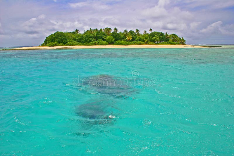 Uninhabited island in the tropical paradise of Fiji.