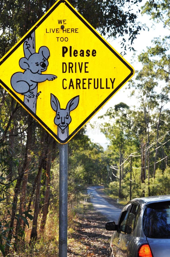 Unique Australian wildlife road sign of koala royalty free stock photo Unique Australian wildlife road sign of koala royalty free stock photo