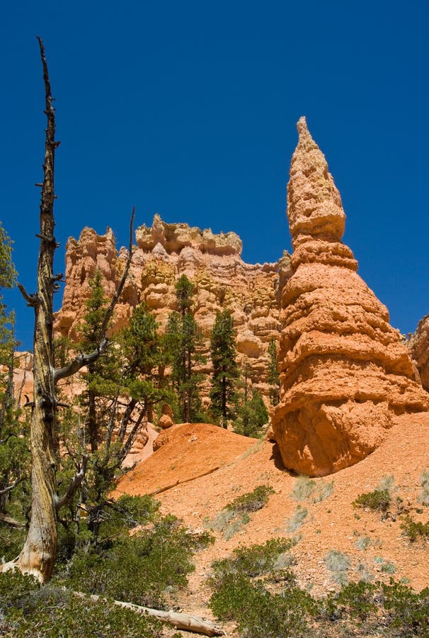 Unique Hoodoos