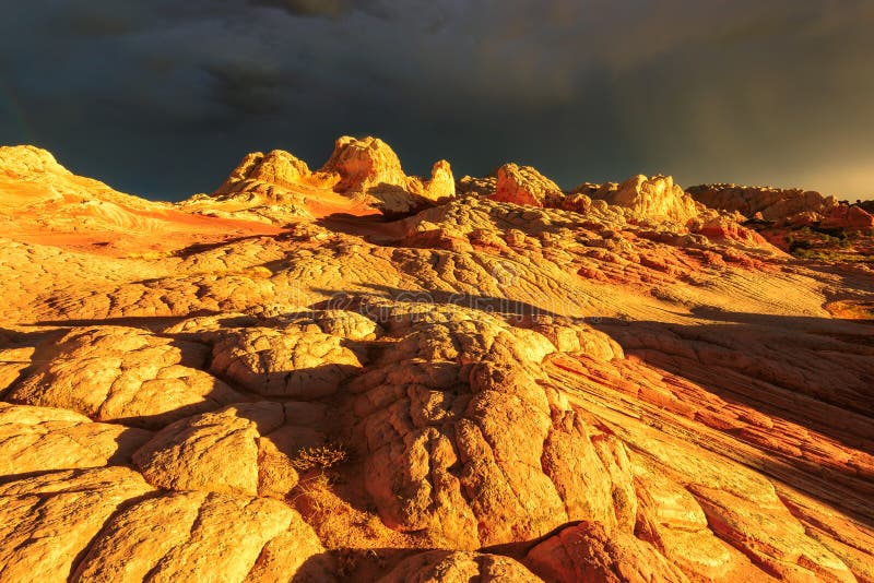 Unique rock formations White Pocket at golden sunset, Arizona