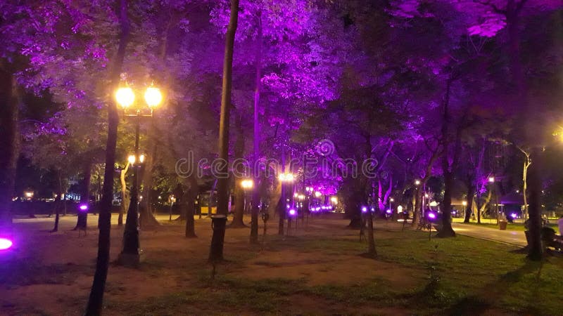 Universidad de Santo Tomas Lover Lane Aflamed foto de archivo Universidad de Santo Tomas Lover Lane Aflamed foto de archivo