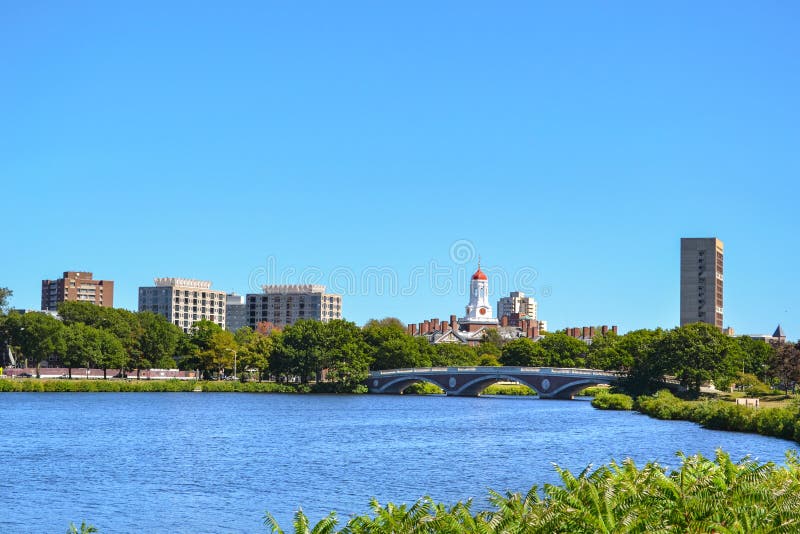 Universidade de Harvard Ivy League Campus foto de stock Universidade de Harvard Ivy League Campus foto de stock