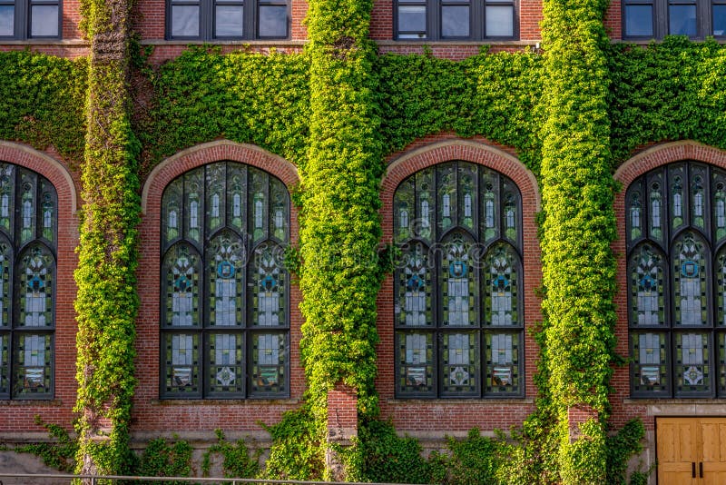 University building covered with ivy