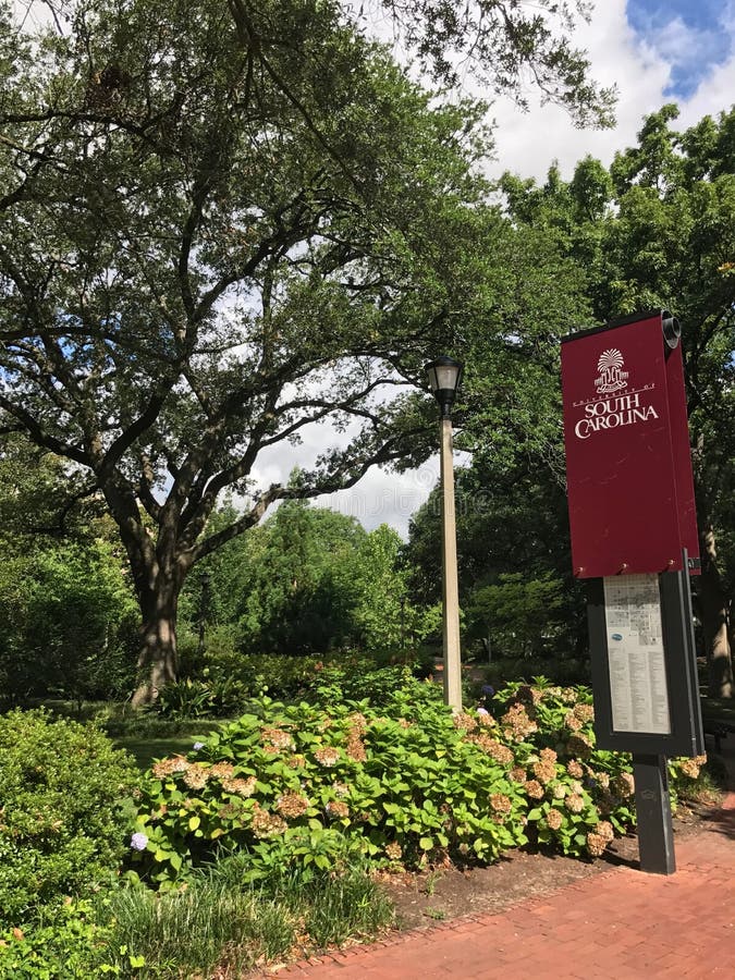 The University of South Carolina in Columbia Editorial Photography