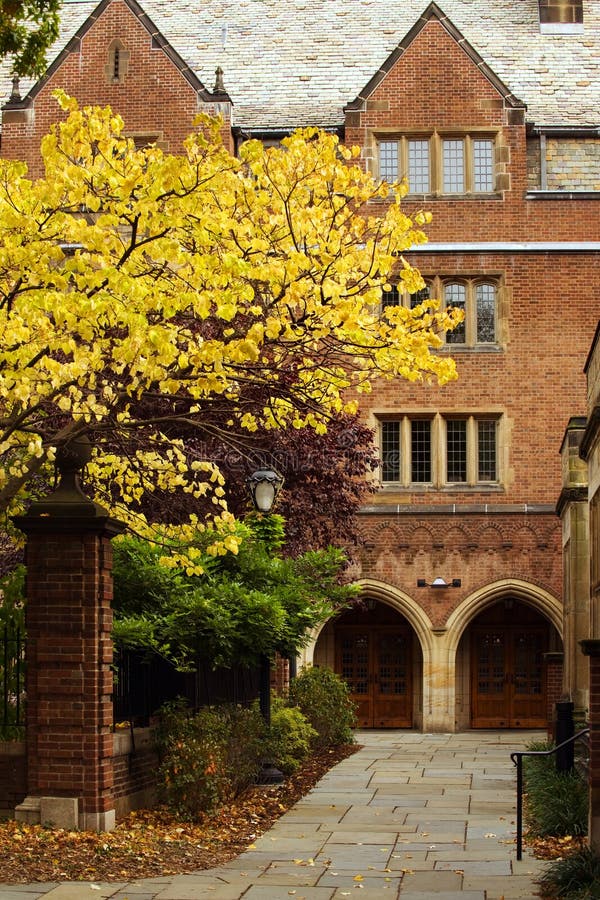 Université de Yale photo stock Université de Yale photo stock