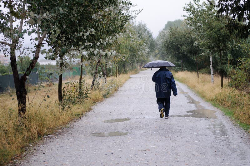 Unknown man walking along a road in the woods, on a rainy day, w