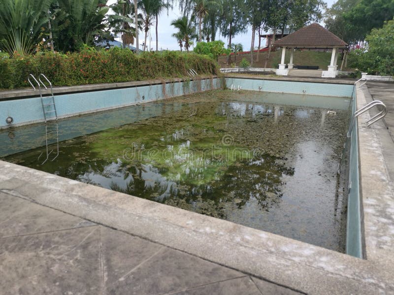 Unmaintained Outdoor Swimming Pool with Algae Floating on the Water
