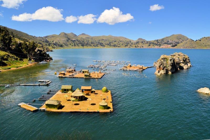 Unosić się Uros wyspy, jeziorny Titicaca Boliwia, Peru,/ zdjęcia stock