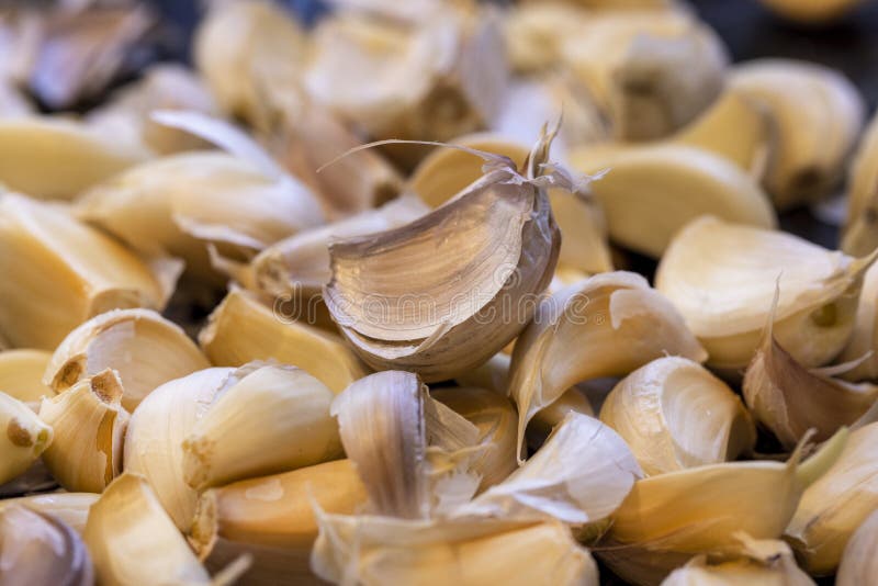 Unpeeled Cloves of Garlic on a Kitchen Counter Top Stock Photo Image