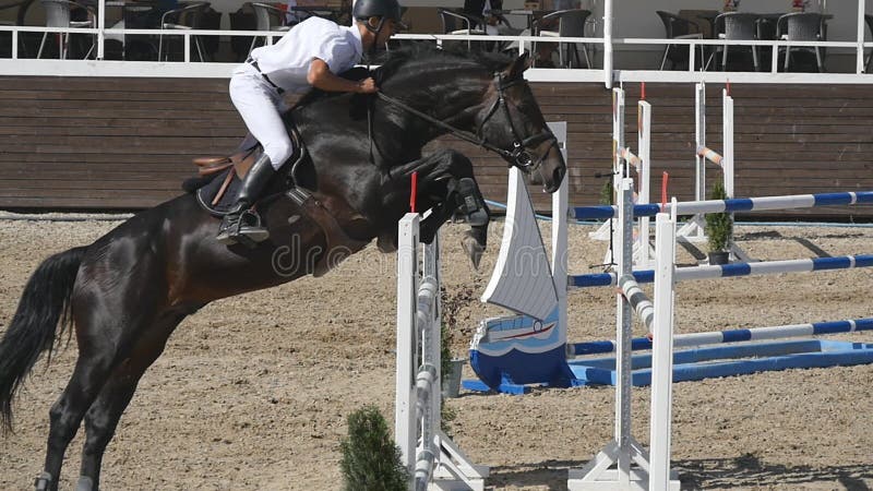 Unrecognizable fachowe męskie dżokej przejażdżki na horseback Koń jest galopujący i doskakiwanie przez bariery wewnątrz