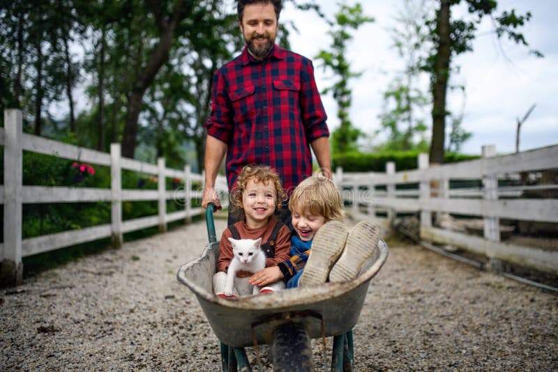 Unrecognizable father pushing small children in wheelbarrow on farm.