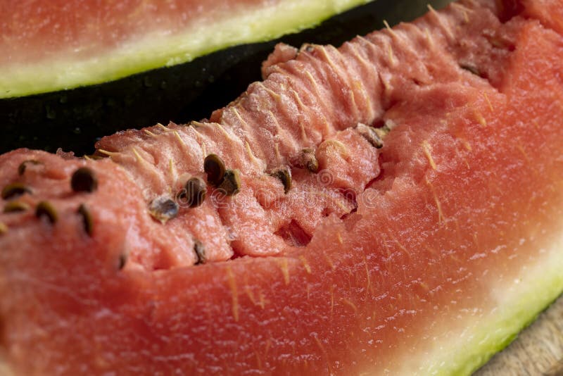 Unripe Watermelon Pink with Black Seeds Stock Image Image of juicy