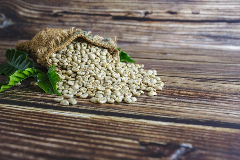 Unroasted Green Coffee Beans in Brown Sacks Stock Image Image of