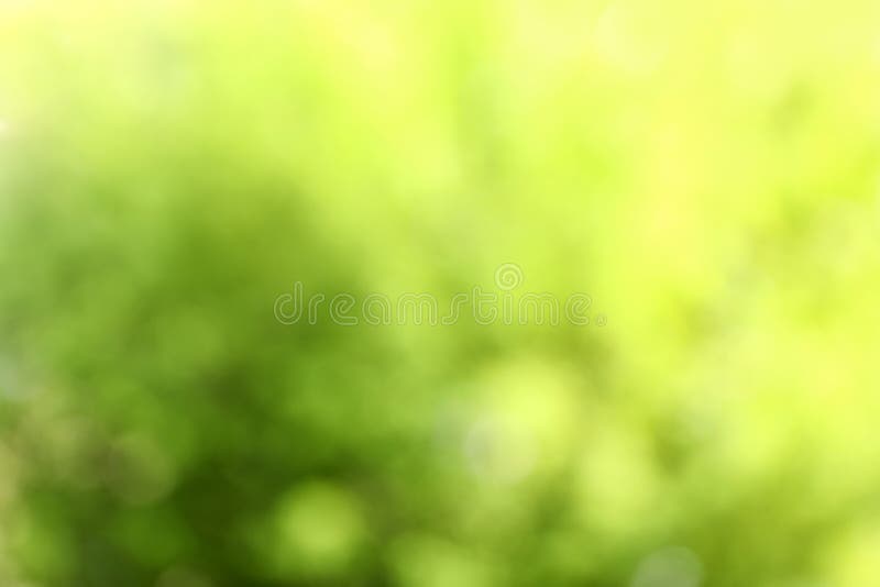 Unscharfe Ansicht des abstrakten gr? nen Hintergrundes lizenzfreie stockfotografie