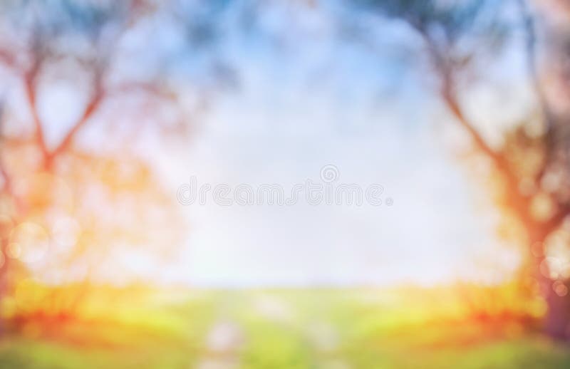 Unscharfer Frühlings- oder Herbstnaturhintergrund mit grünem sonnigem Feld und Baum auf blauem Himmel