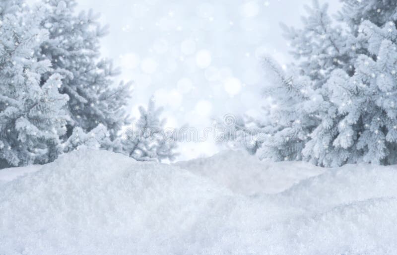 Unscharfer Hintergrund des Winters Zusammenfassung Eisige Landschaft mit Kiefern und Schneewehen lizenzfreies stockfoto Unscharfer Hintergrund des Winters Zusammenfassung Eisige Landschaft mit Kiefern und Schneewehen lizenzfreies stockfoto