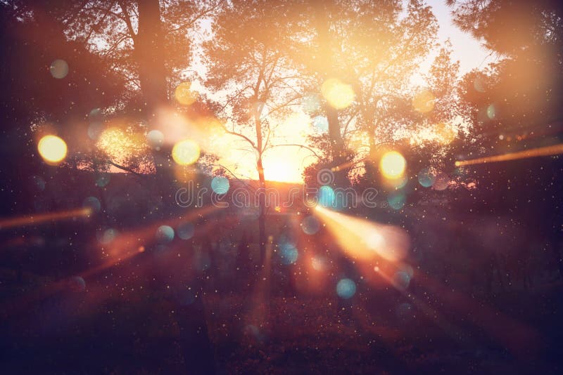 Unscharfes abstraktes Foto der Lichtexplosion unter Bäumen und Funkeln goldenen bokeh Lichtern lizenzfreies stockfoto Unscharfes abstraktes Foto der Lichtexplosion unter Bäumen und Funkeln goldenen bokeh Lichtern lizenzfreies stockfoto