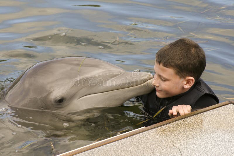 Unschuldiger junger Junge mit einem Delphin