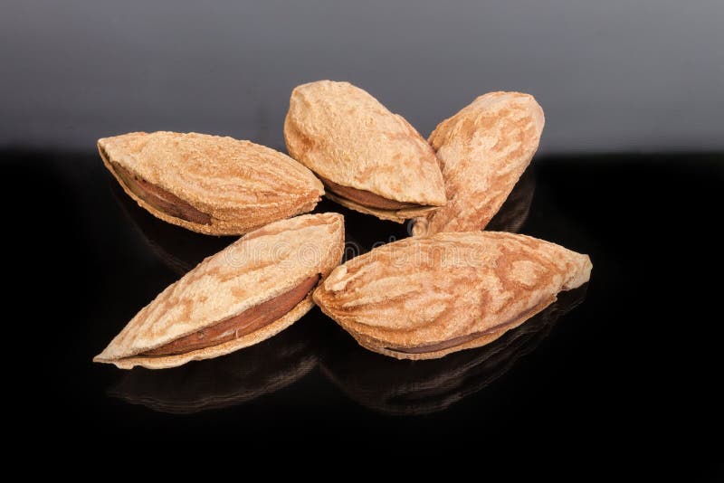 Unshelled Almonds Closeup on a Dark Reflective Surface Stock Image