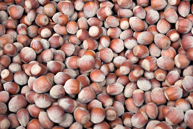 Unshelled hazelnuts tło obrazy royalty free Unshelled hazelnuts tło obrazy royalty free