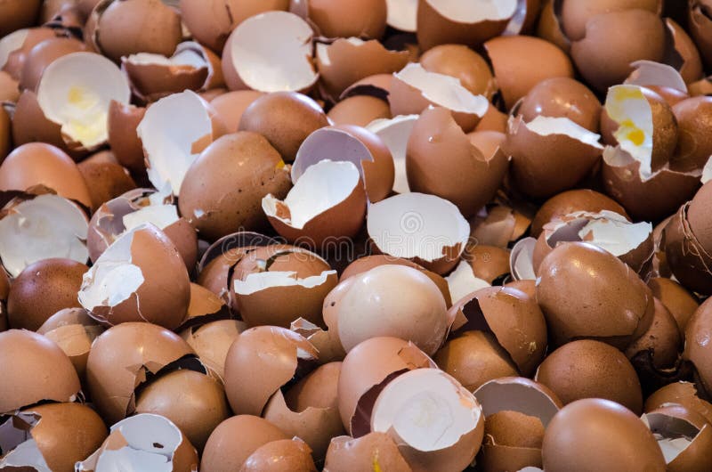 Unterbrochene Eier lizenzfreie stockfotos Unterbrochene Eier lizenzfreie stockfotos