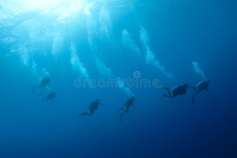 Unterwasseratemgerättaucher stockfoto Unterwasseratemgerättaucher stockfoto