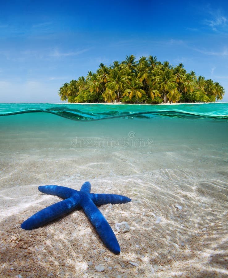Unterwasserlebensdauer nahe schöner Insel stockfoto Unterwasserlebensdauer nahe schöner Insel stockfoto