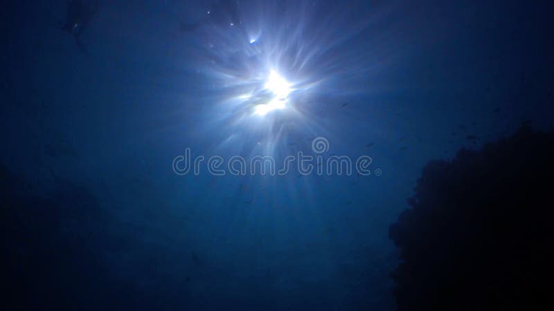 Unterwasserszene mit Sonnenstrahlen