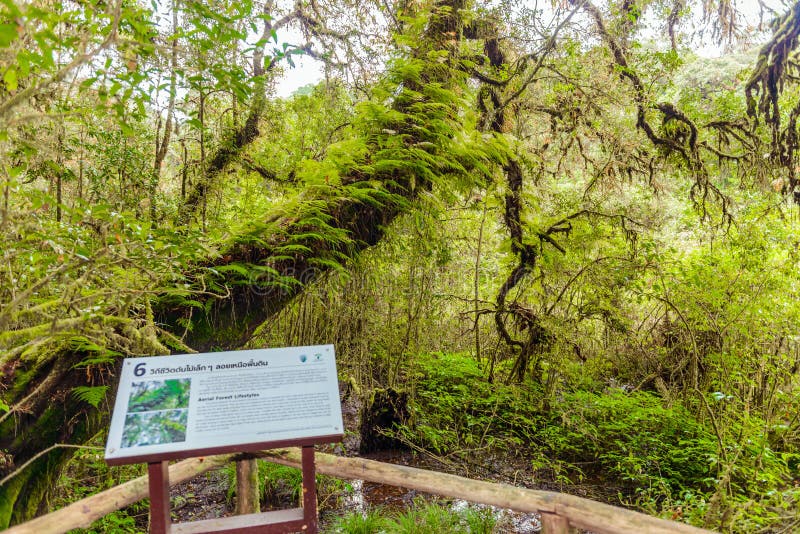 Unterzeichnen Sie kein 6 in Ang Ka Luang Nature Trail lizenzfreie stockfotos Unterzeichnen Sie kein 6 in Ang Ka Luang Nature Trail lizenzfreie stockfotos