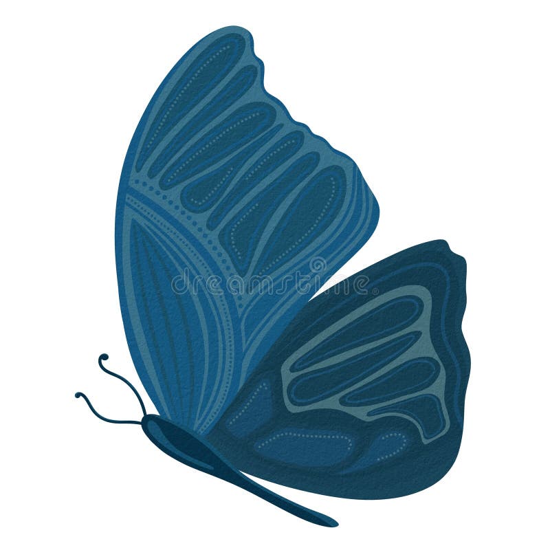 Blue butterfly illustration featuring stylized wings with intricate patterns and geometric shapes. royalty free illustration