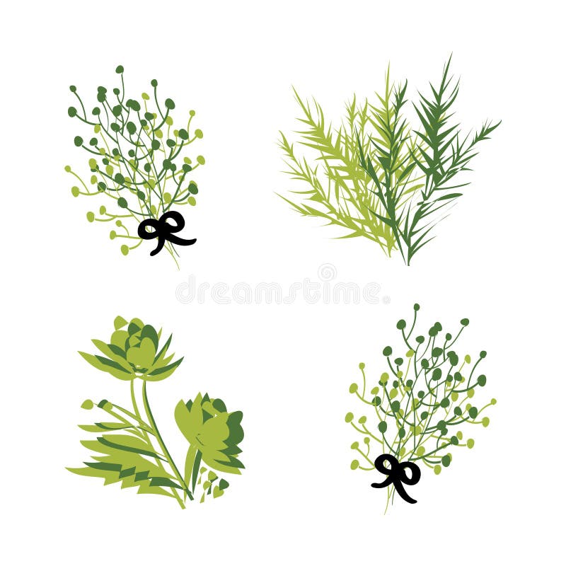 Set of Green Herbs and Branches for Your Design Stock Vector