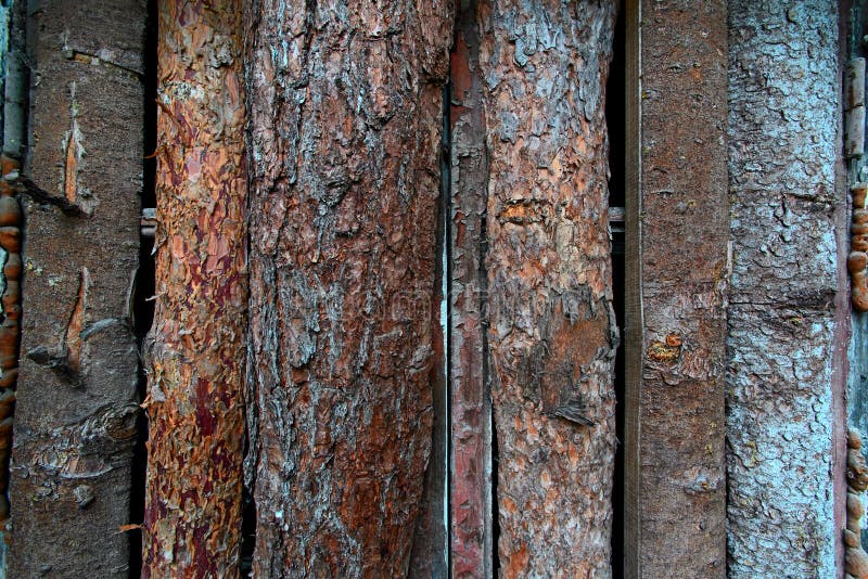 Untreated pine wood boards stock photo. Image of natural 97936710