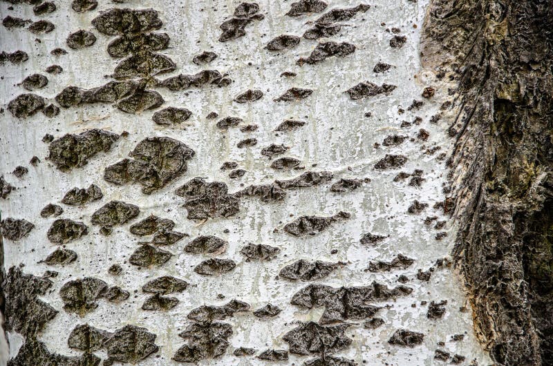 Unusual ceiling stock image Unusual ceiling stock image